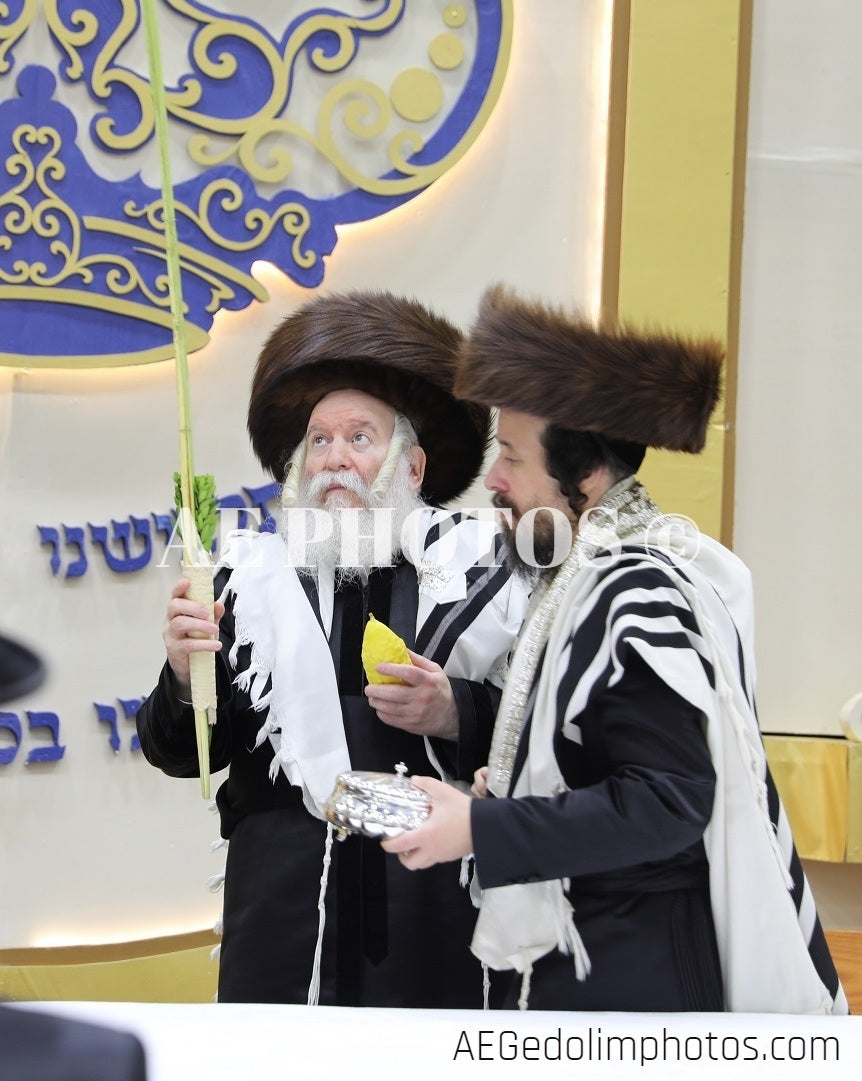 Bobov Rebbe האדמו"ר מבאבוב