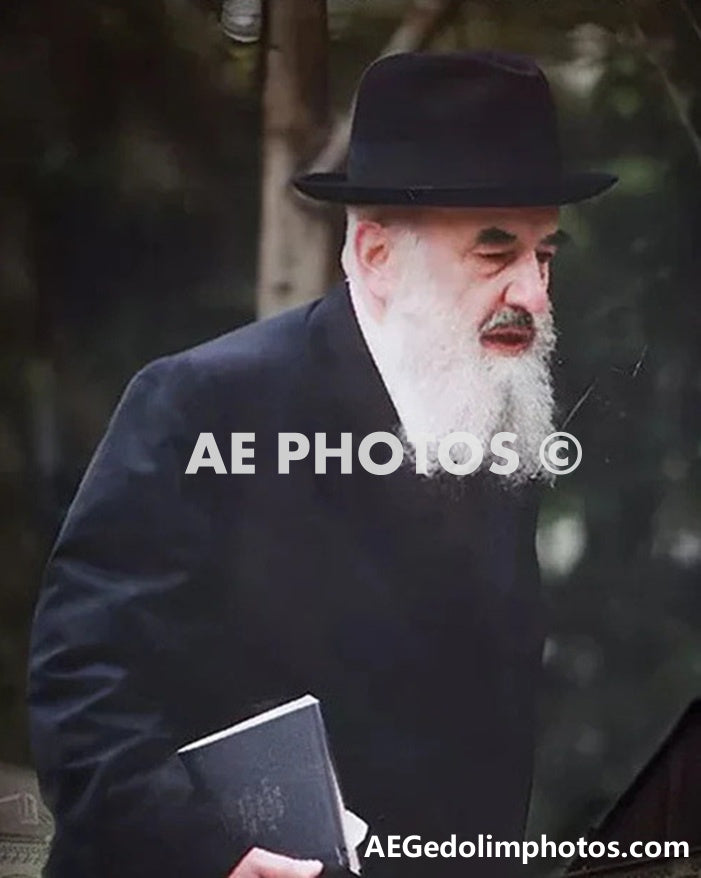 Rav Mordechai Schwab
