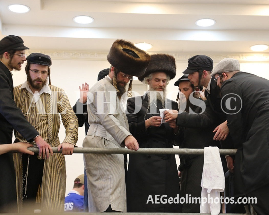 Lutzker Rebbe on Purim 2019