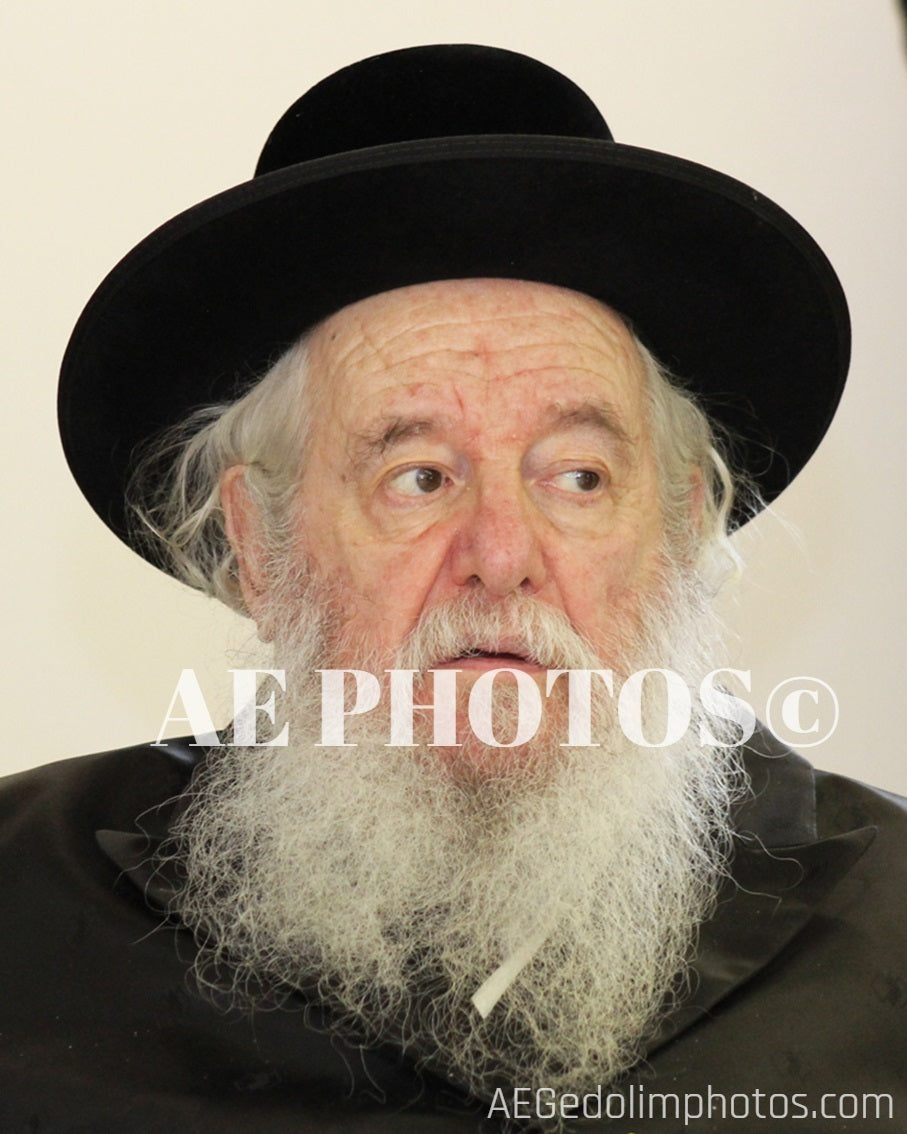 Novaminska Rebbe