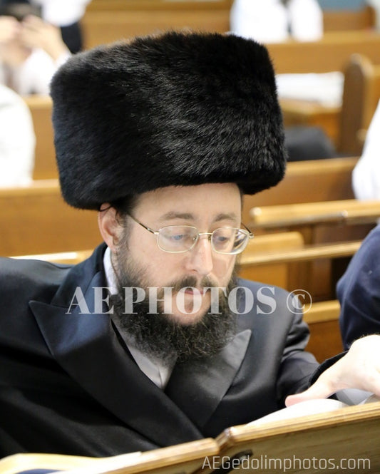 Radzina Rebbe