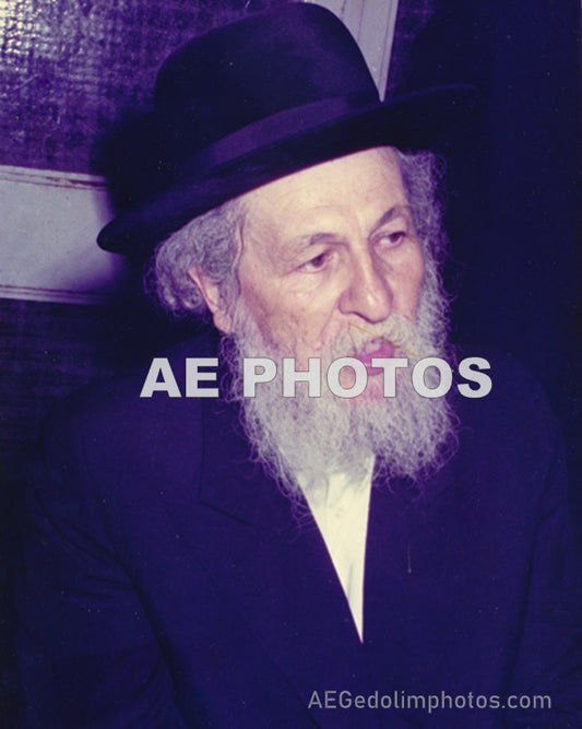 Rav Berel Soloveitchik