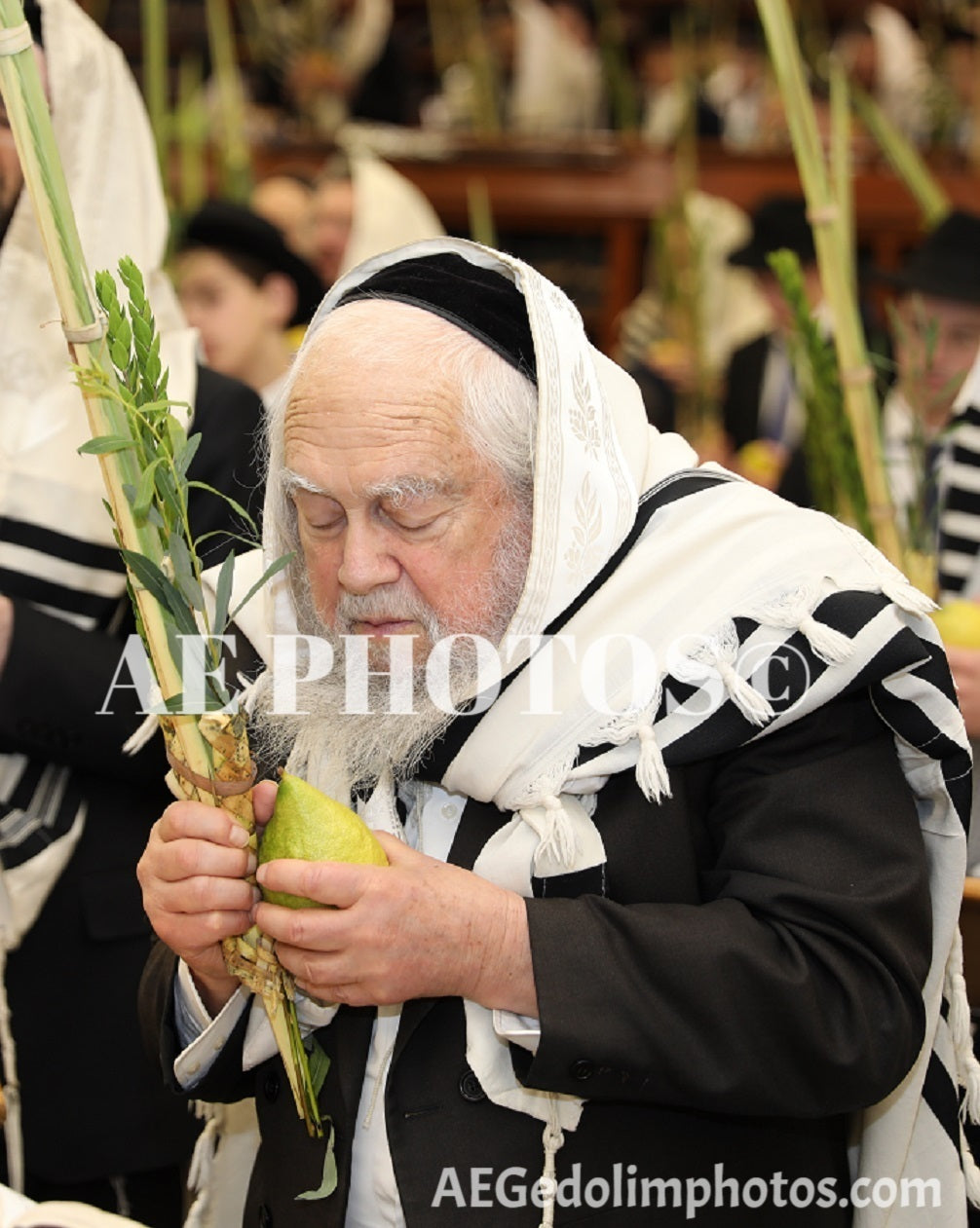 Rav Eliyahu Levein