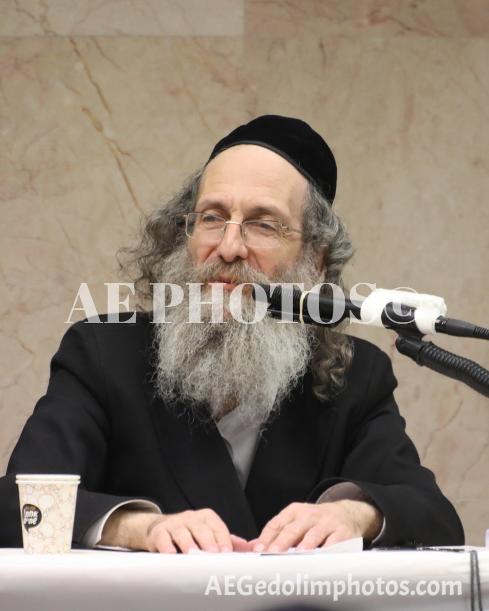 Rav Meilich Biderman