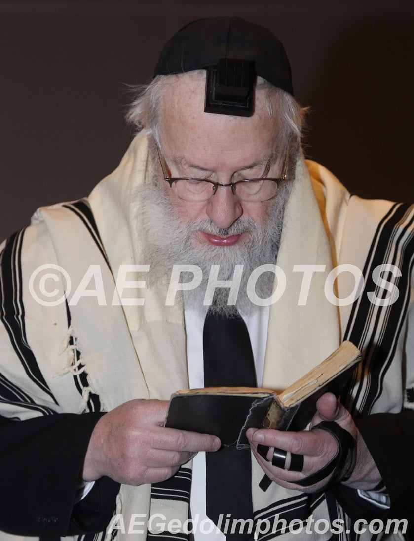 Rav Moshe Heinemann