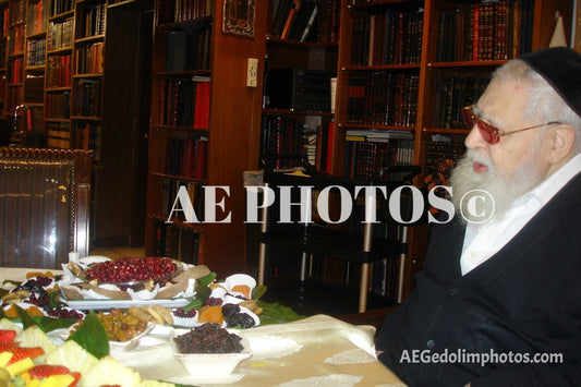 Rav Ovadia Yosef on Tu Bishvat