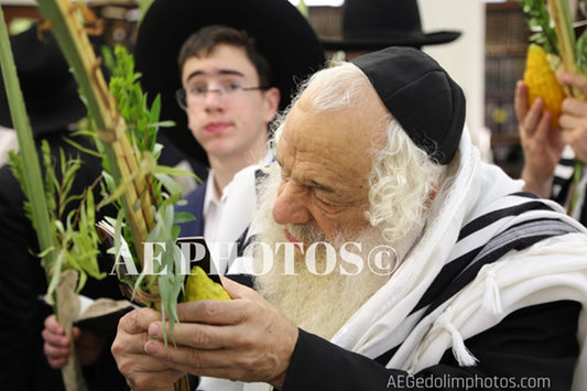 Rav Rav Baruch Shmuel Deutsch