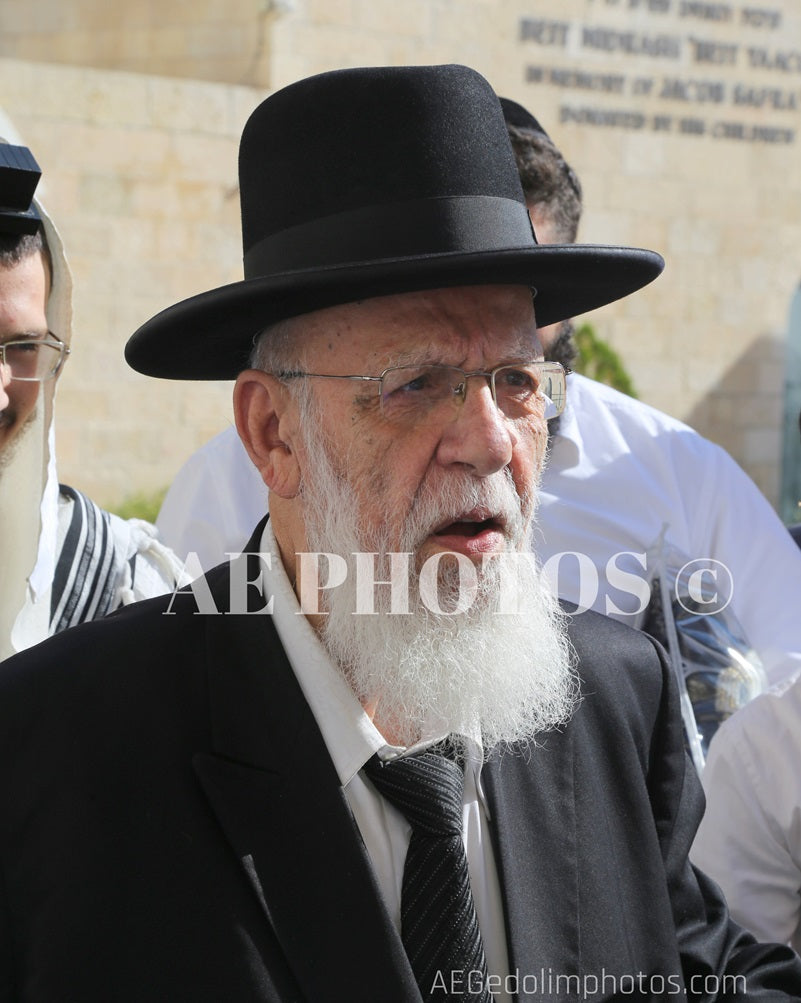 Rav Shalom Cohen