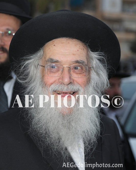 Rav Yonasan David