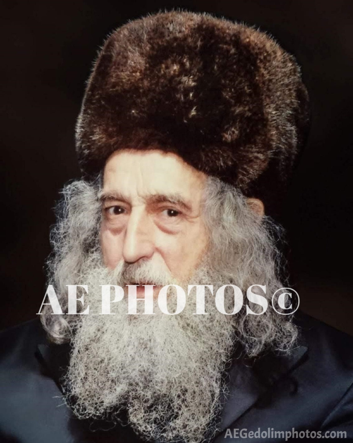 Ribnitzer Rebbe