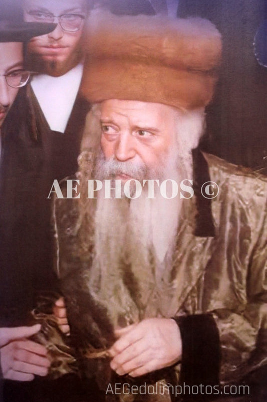 Skolya Rebbe