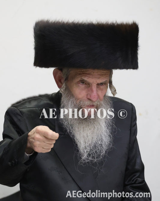 Slonim Shvartz Rebbe