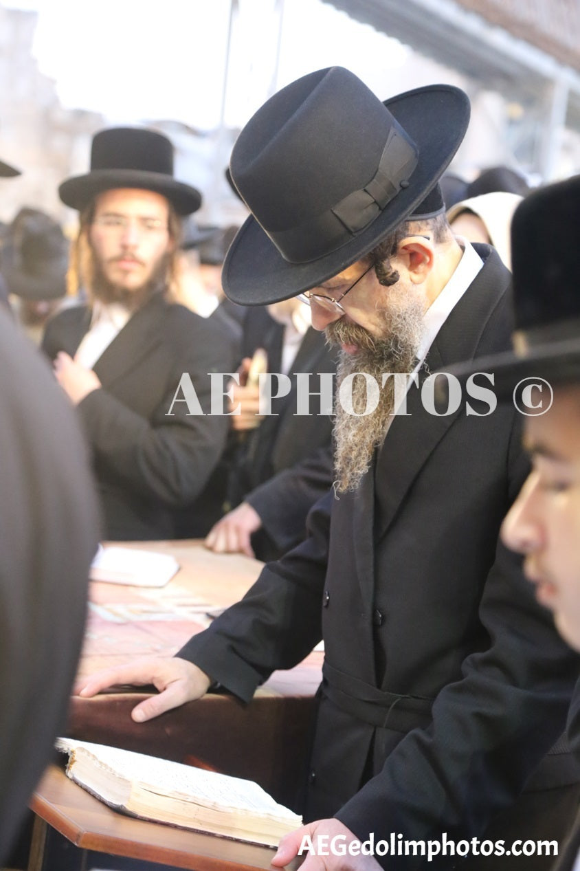 Stuchina Rebbe