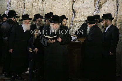 Belzer Rebbe