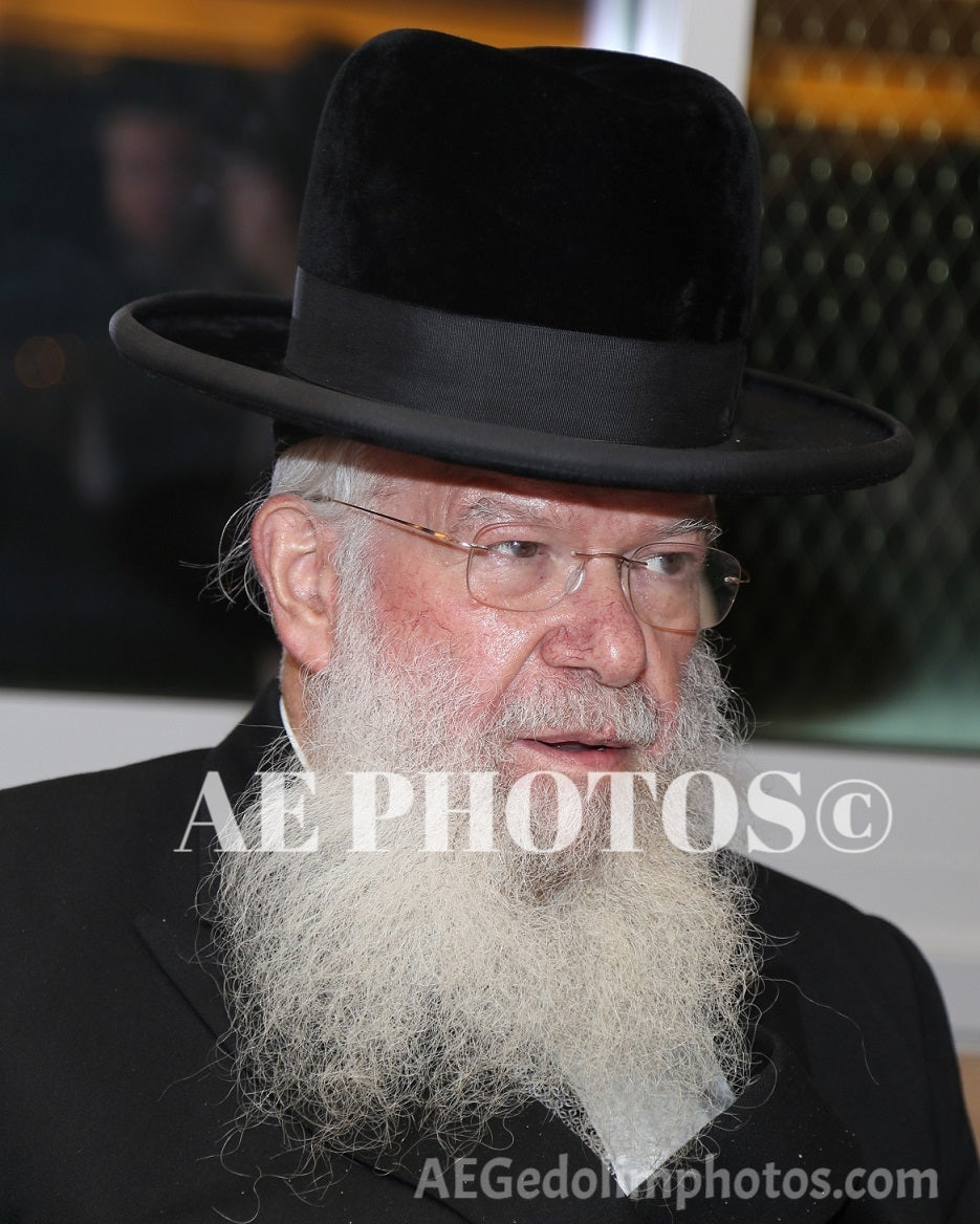 Rav Chaim Walkin