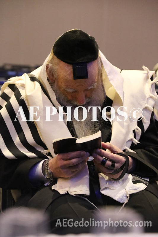 Rav Aron Feldman