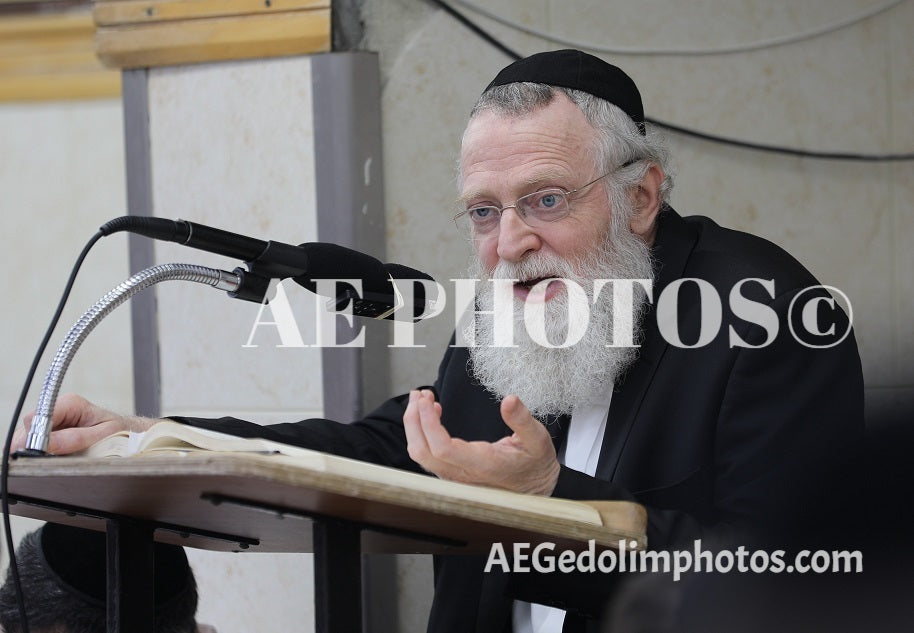 Rav Asher Arieli in Shiur