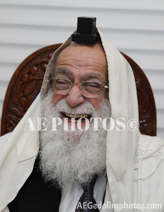 Rav Avraham David  (Sephardi Beth Din London)