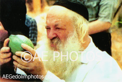 Rav Chaim Kanievsky