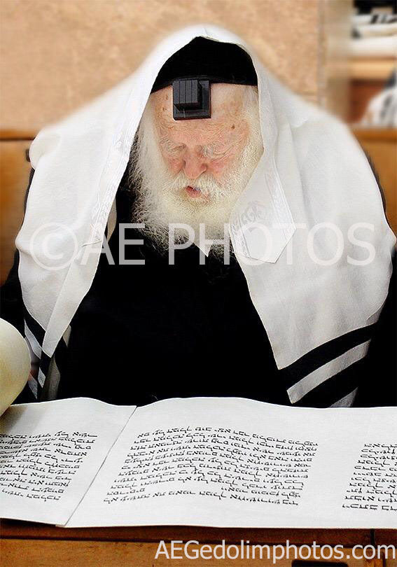 Rav Chaim Kanievsky