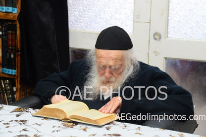 Rav Chaim Kanievsky