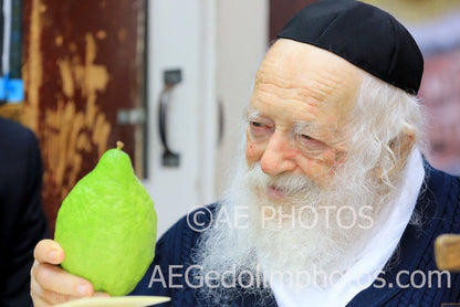 Rav Chaim Kanievsky