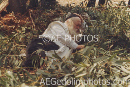 Rav Chaim Kanievsky