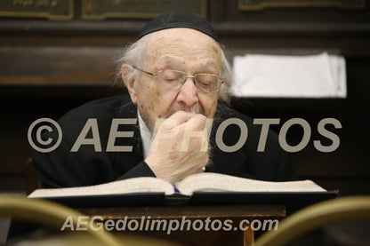 Rav Dovid Feinstein