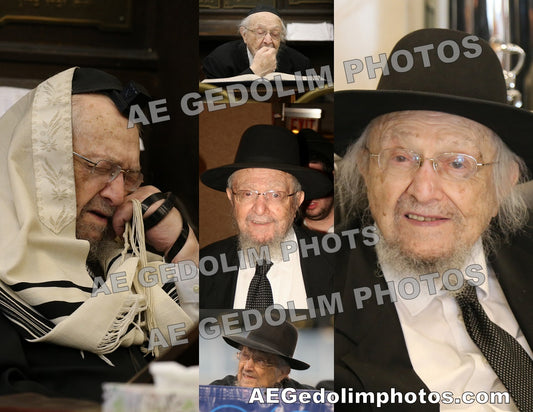 Rav Dovid Feinstein collage by AE