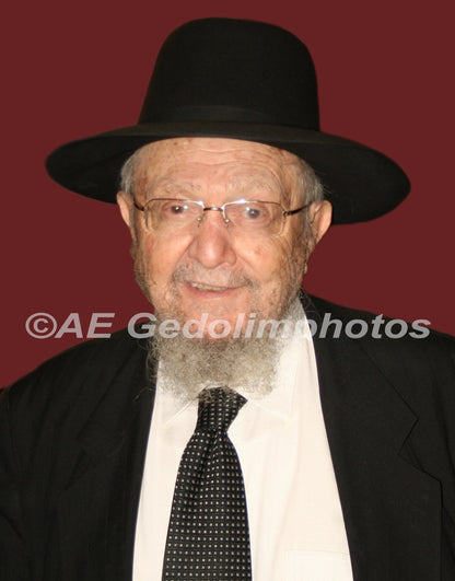 Rav Dovid Feinstein