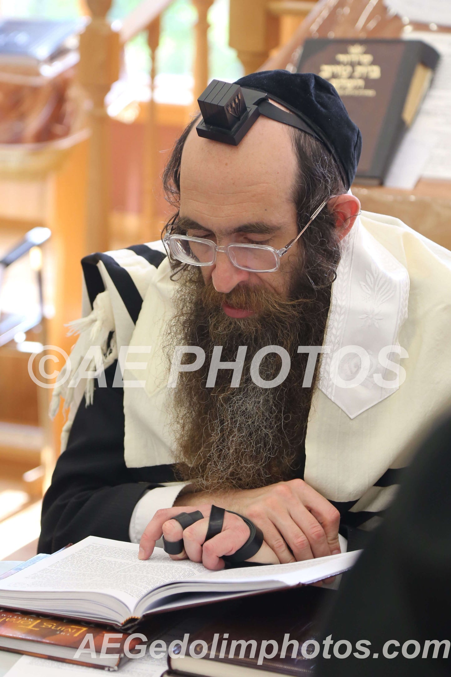 Rav Elimelech Belsky