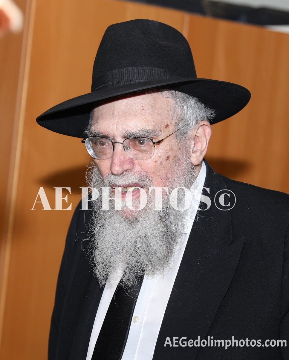 Rav Elya Kanarek