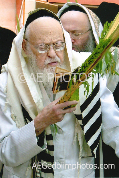 Rav Elyashiv