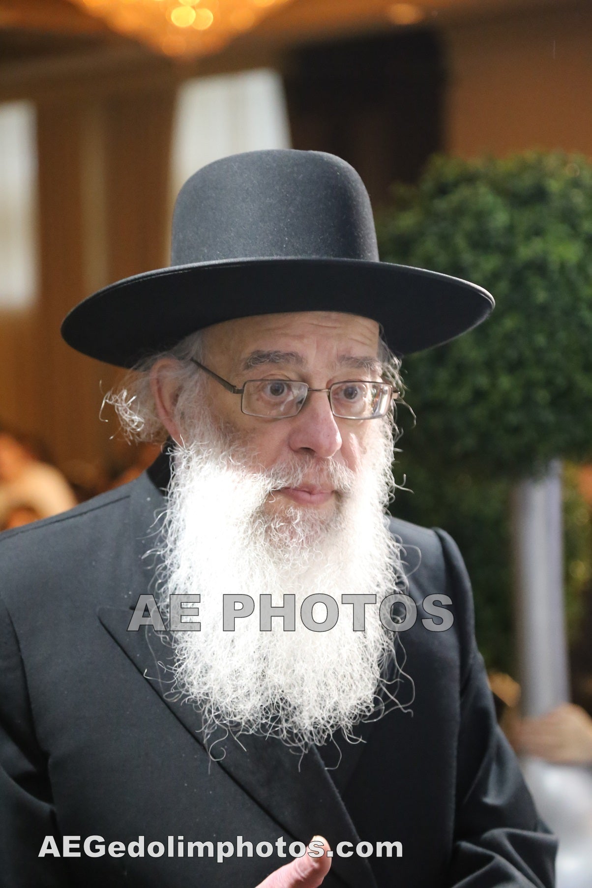 Rav Feivel Cohen