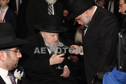 Rav Lipa Morgolis (R”Y Torah Temimah)