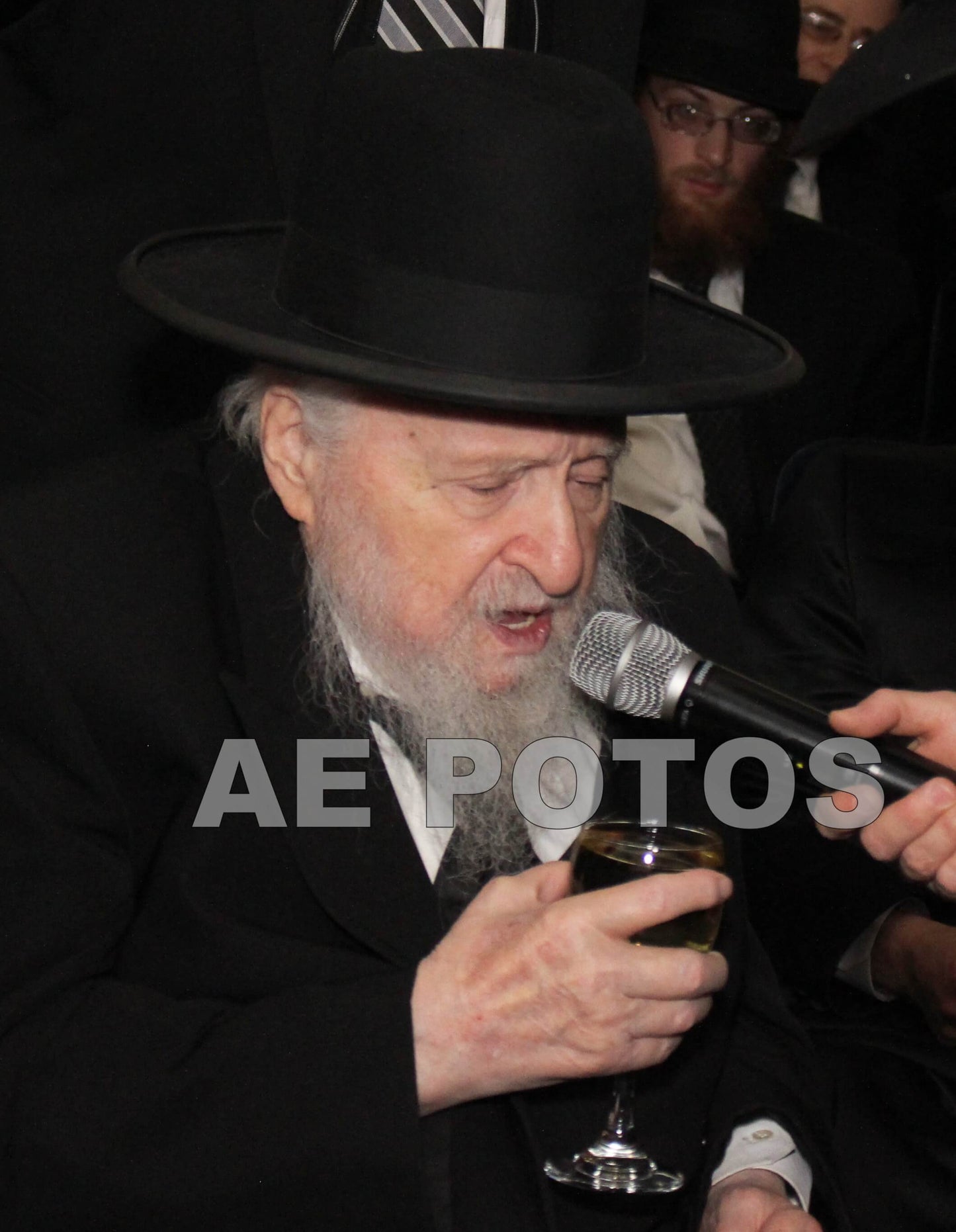 Rav Lipa Morgolis (R”Y Torah Temimah)