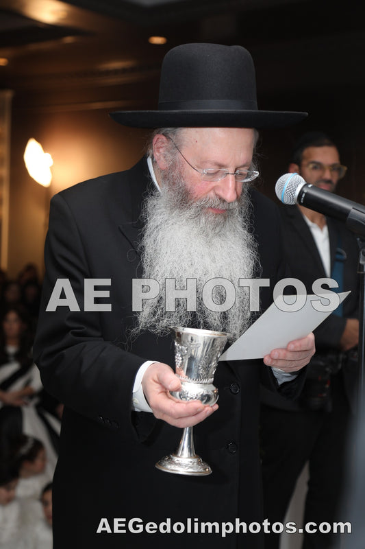 Rav Malkiel Kotler