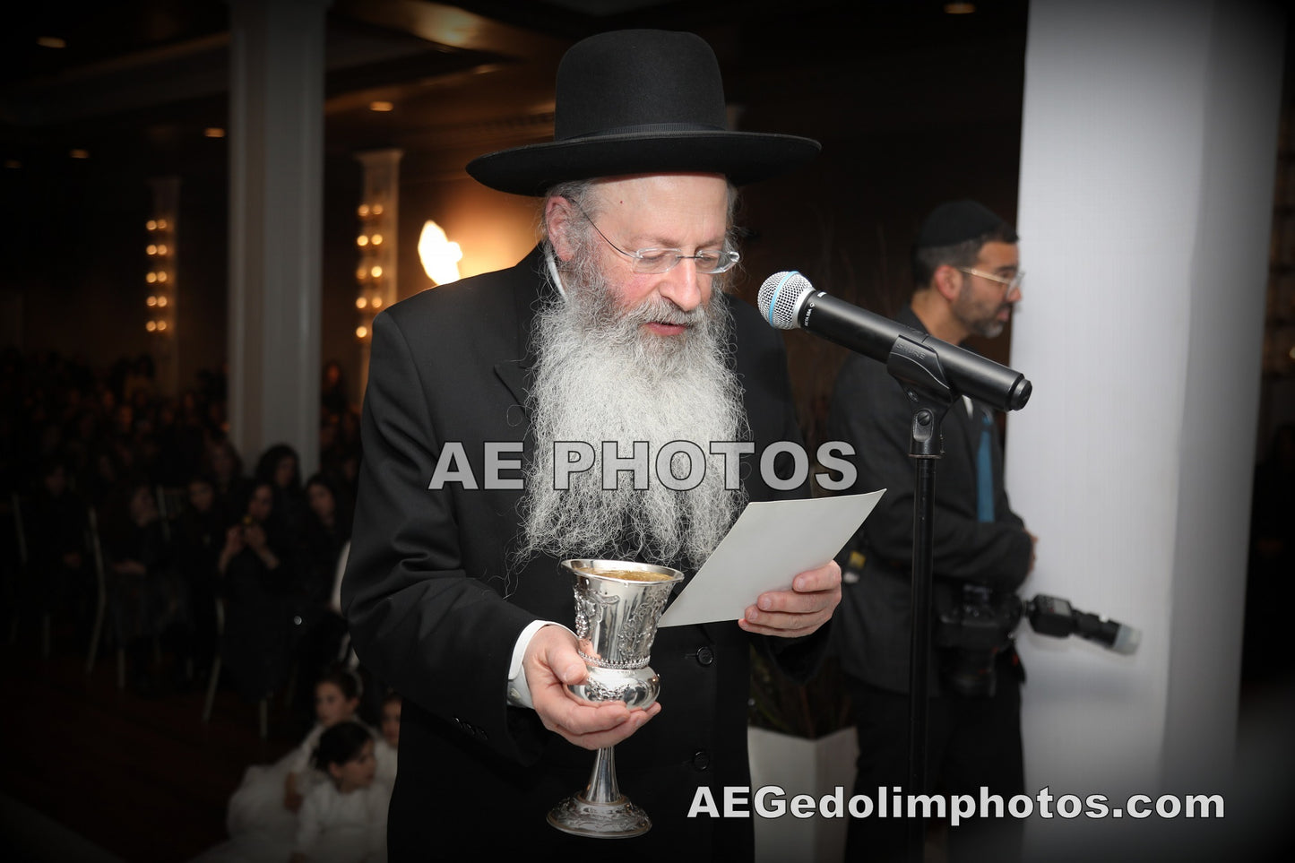 Rav Malkiel Kotler