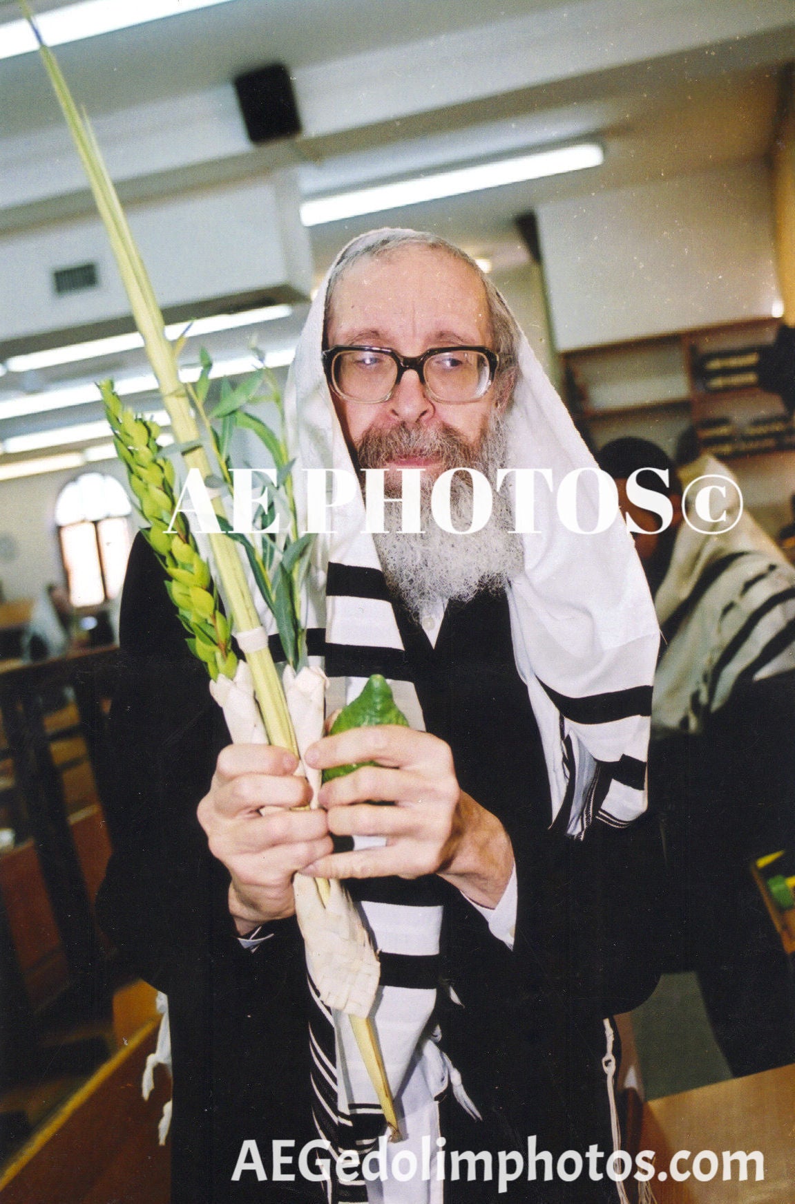 Rav Nosson Tzvi Finkel Lulav