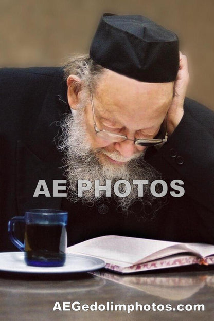 Rav Shlomo Wolbe