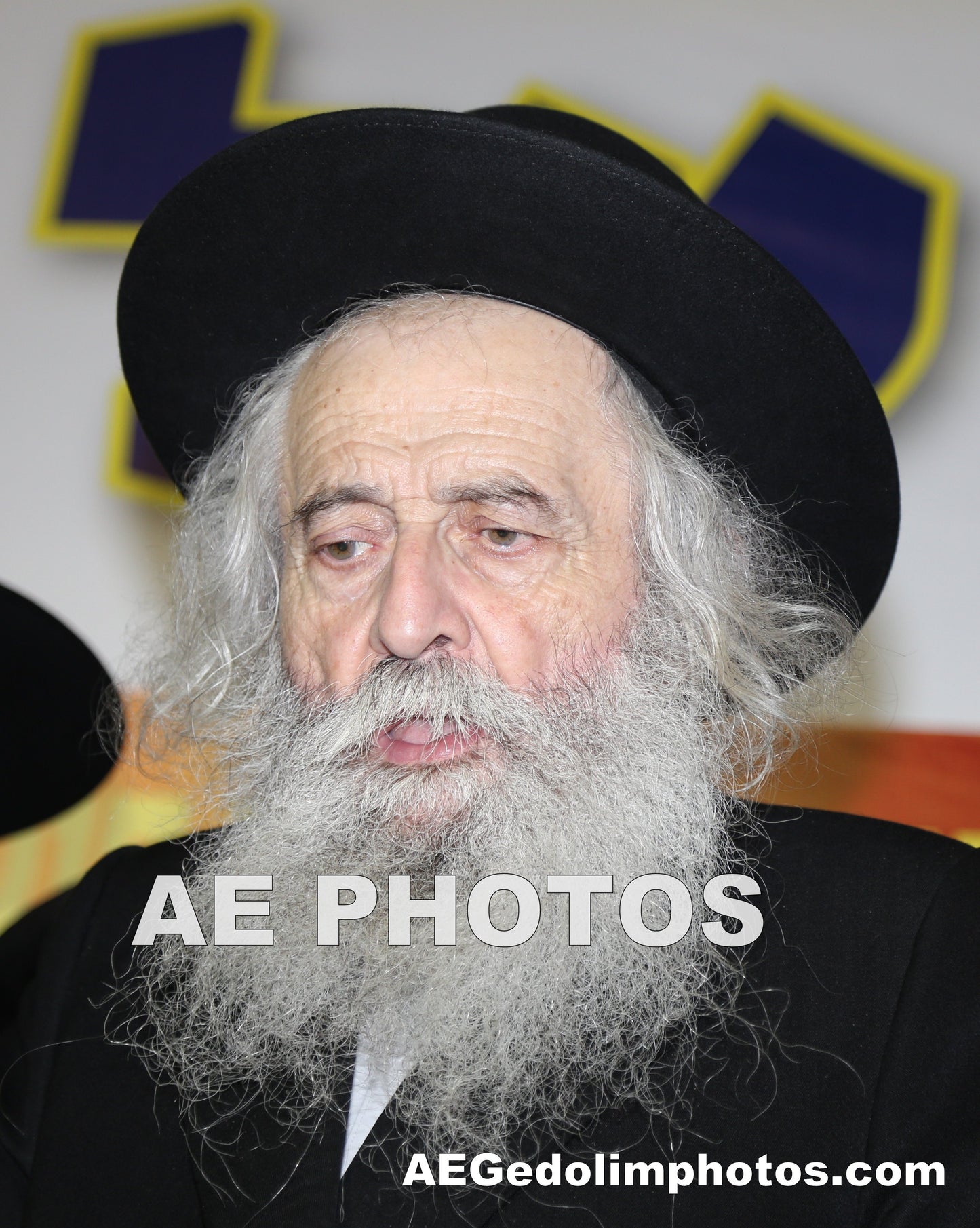 Rav Yehoshua Dovid Turchin