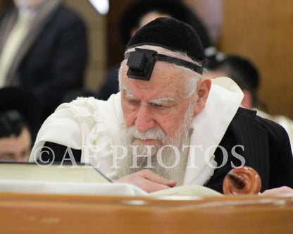 Rav Yosef Harari-Raful