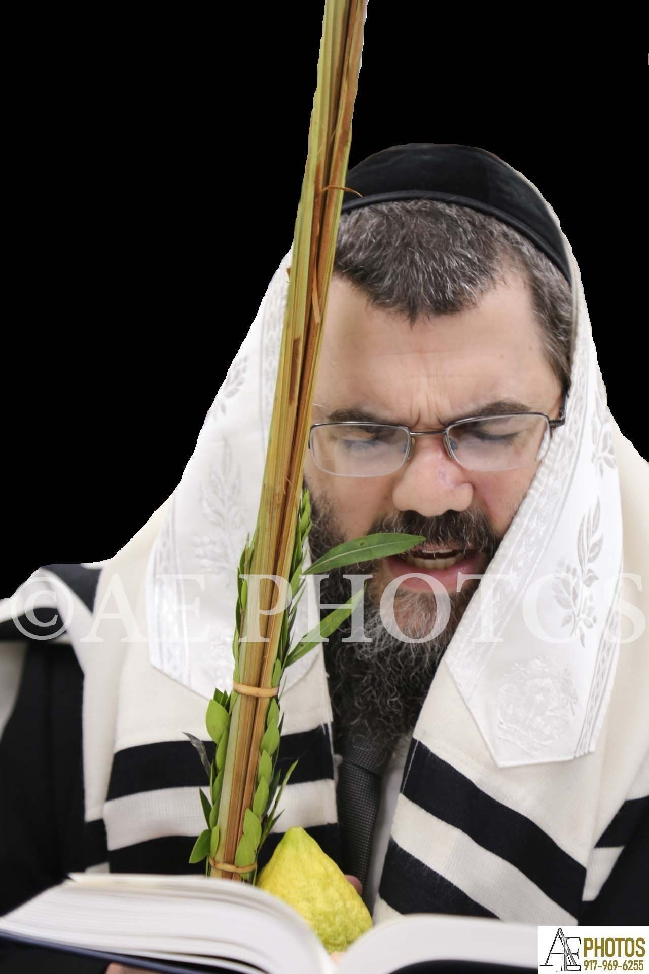 Rav Menachem Haber