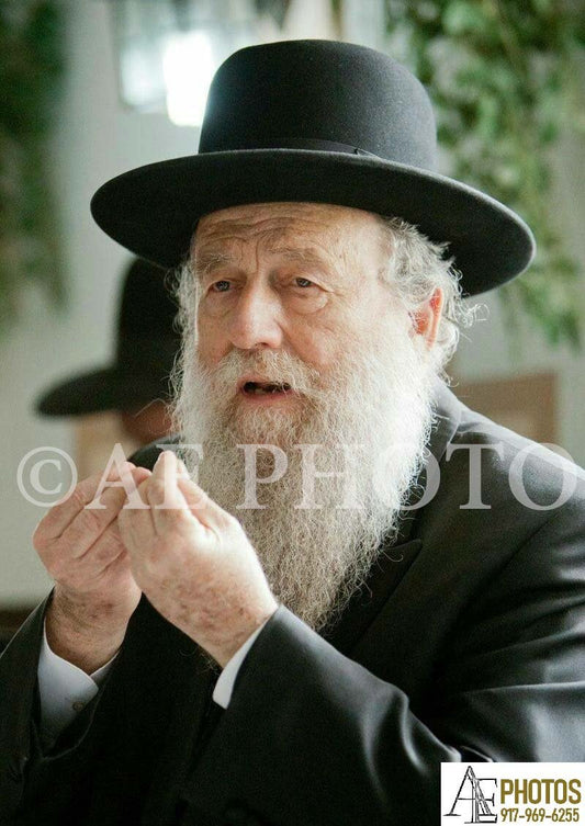 Rav Moshe Shapiro