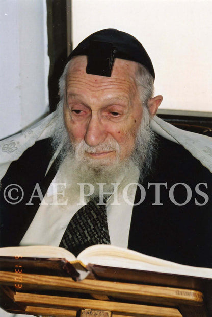 Rav Scheinberg